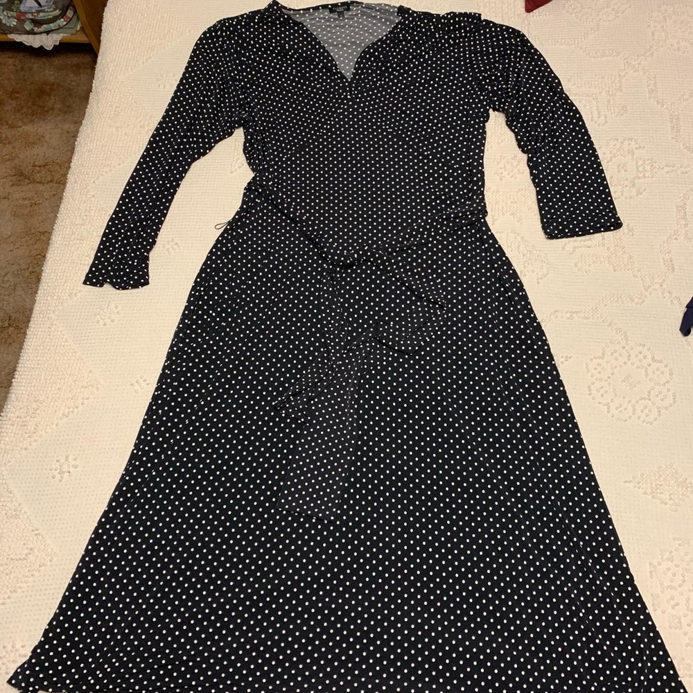Talbots Polka Dot Dress 16